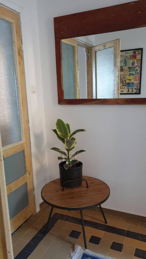 Casa Arion Apartment Baile Herculane Ngoại thất bức ảnh