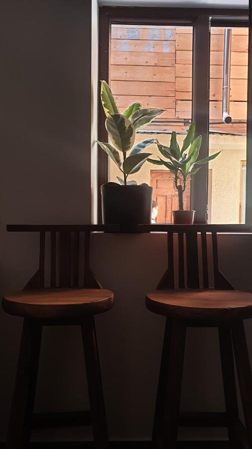 Casa Arion Apartment Baile Herculane Ngoại thất bức ảnh