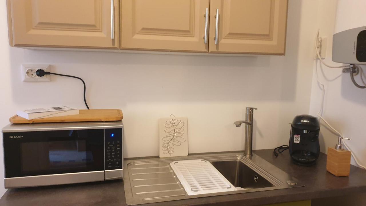 Casa Arion Apartment Baile Herculane Ngoại thất bức ảnh