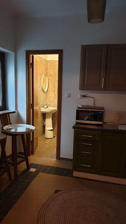 Casa Arion Apartment Baile Herculane Ngoại thất bức ảnh