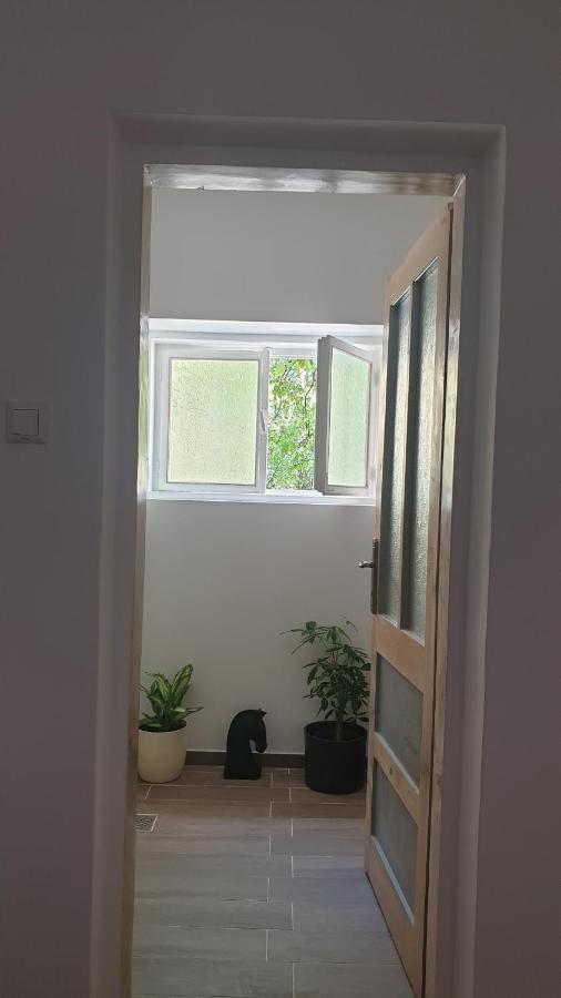 Casa Arion Apartment Baile Herculane Ngoại thất bức ảnh