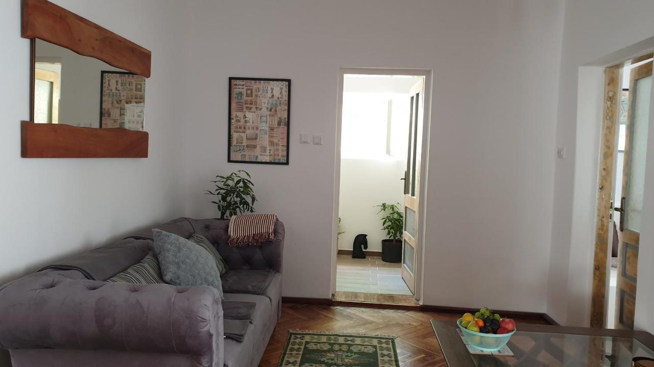 Casa Arion Apartment Baile Herculane Ngoại thất bức ảnh