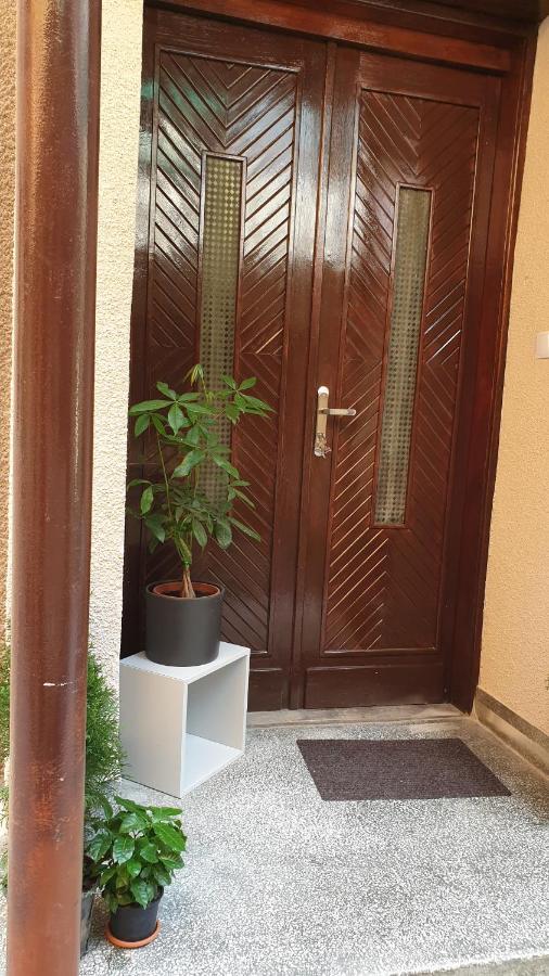 Casa Arion Apartment Baile Herculane Ngoại thất bức ảnh