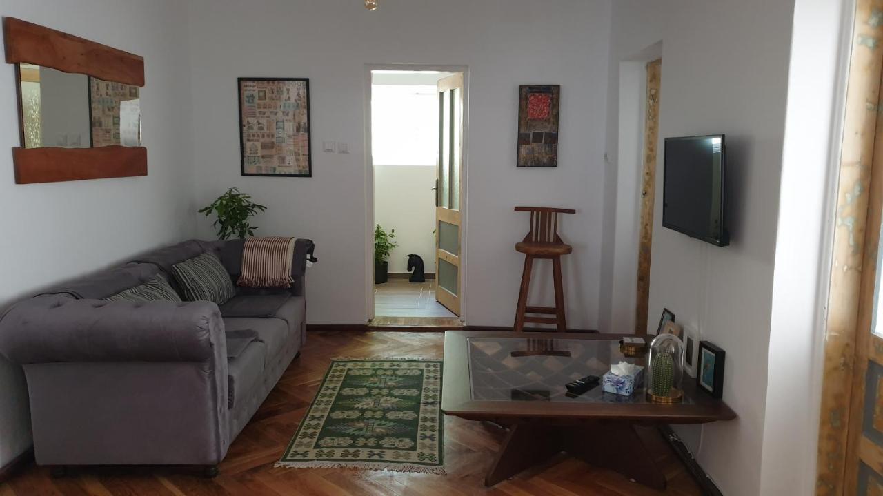 Casa Arion Apartment Baile Herculane Ngoại thất bức ảnh